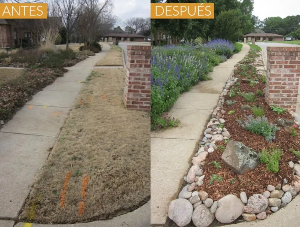 Professional outdoor landscaping in Inglewood, CA - Landscaping Guerrero Family