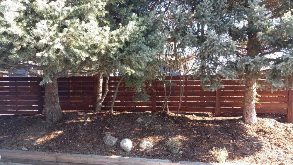 Expert yard maintenance experts serving Dacono, CO - Landscaping Guru