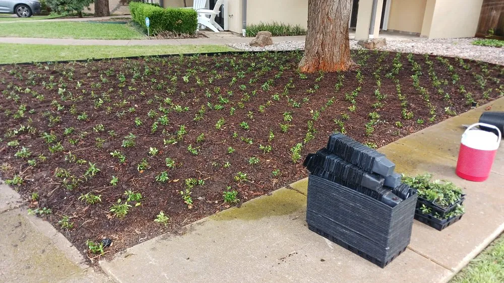 Professional landscape installation for homes across Dallas, TX - Landscaping Gurus