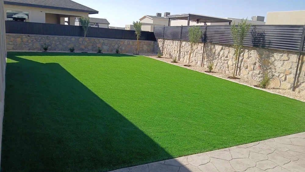 Trusted yard maintenance for year-round maintenance in El Paso, TX by Landscaping Handyman