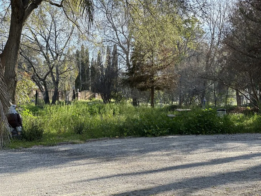 Reliable yard maintenance near you across Bakersfield, CA - Landscaping Haulers