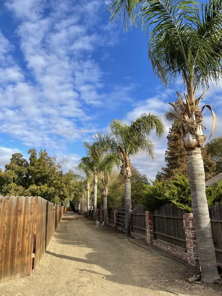 Professional garden landscaping with custom design in Bakersfield, CA by Landscaping Haulers