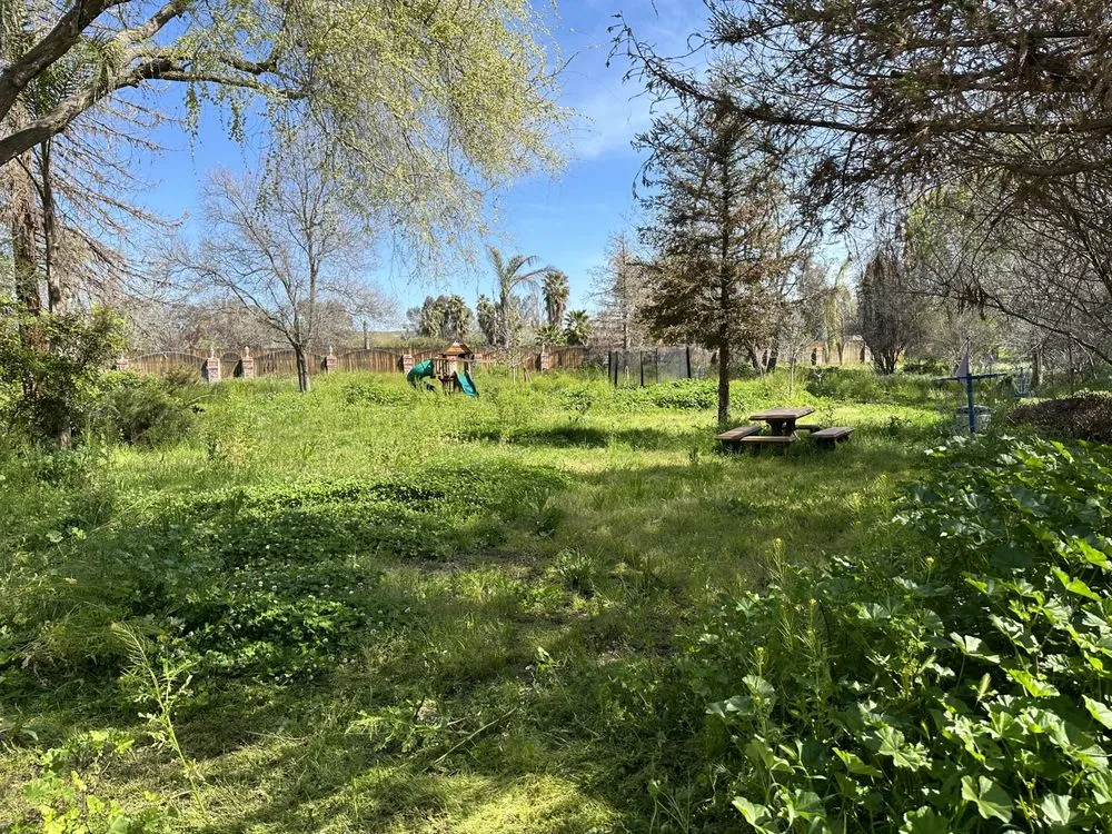 Custom yard cleanup service in Bakersfield, CA by Landscaping Haulers