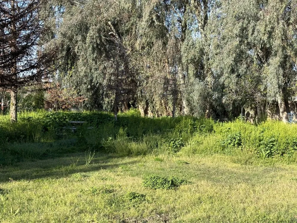 Top-rated landscape installation in Bakersfield, CA - Landscaping Haulers