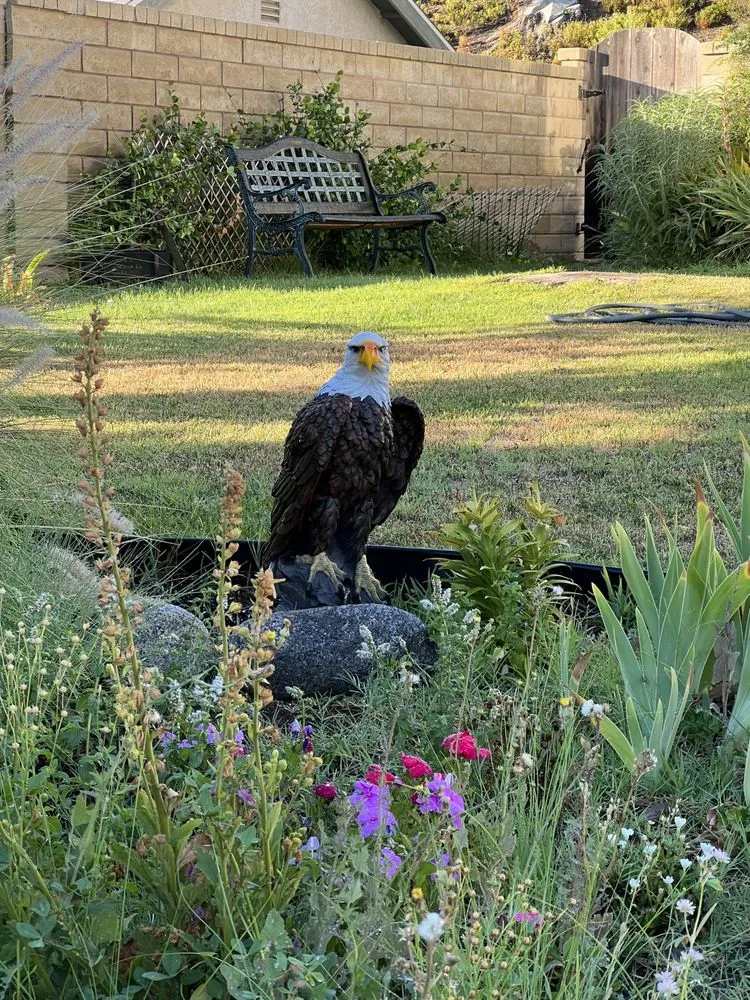 Local outdoor landscaping for homes across Bakersfield, CA - Landscaping Haulers