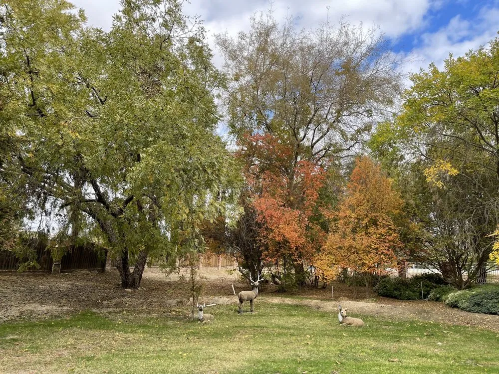 Professional residential landscaping for outdoor upgrades across Bakersfield, CA - Landscaping Haulers