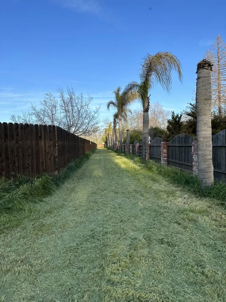 Affordable landscape installation in Bakersfield, CA - Landscaping Haulers