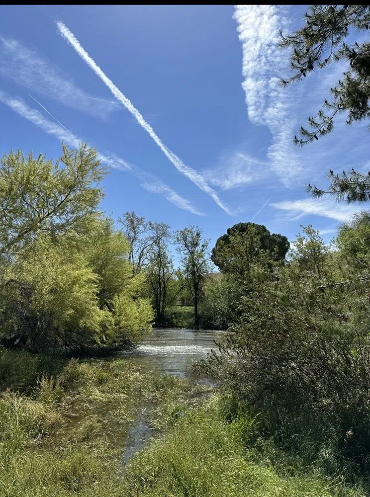 Reliable yard maintenance in Bakersfield, CA - Landscaping Haulers