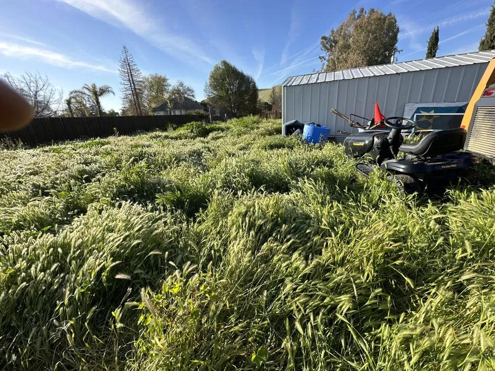Local outdoor landscaping in Bakersfield, CA - Landscaping Haulers