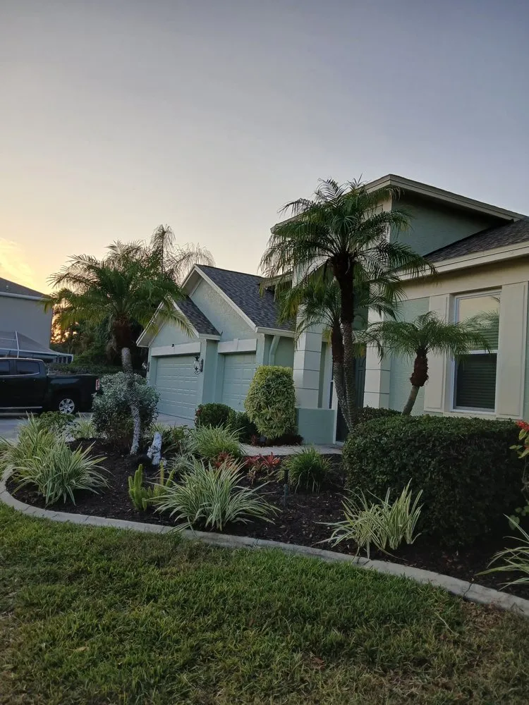 Expert yard cleanup service in Tampa, FL - Landscaping Heandscrafted Portillo
