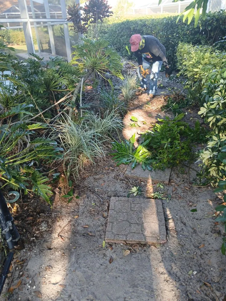 Top-rated lawn mowing service in Tampa, FL - Landscaping Heandscrafted Portillo