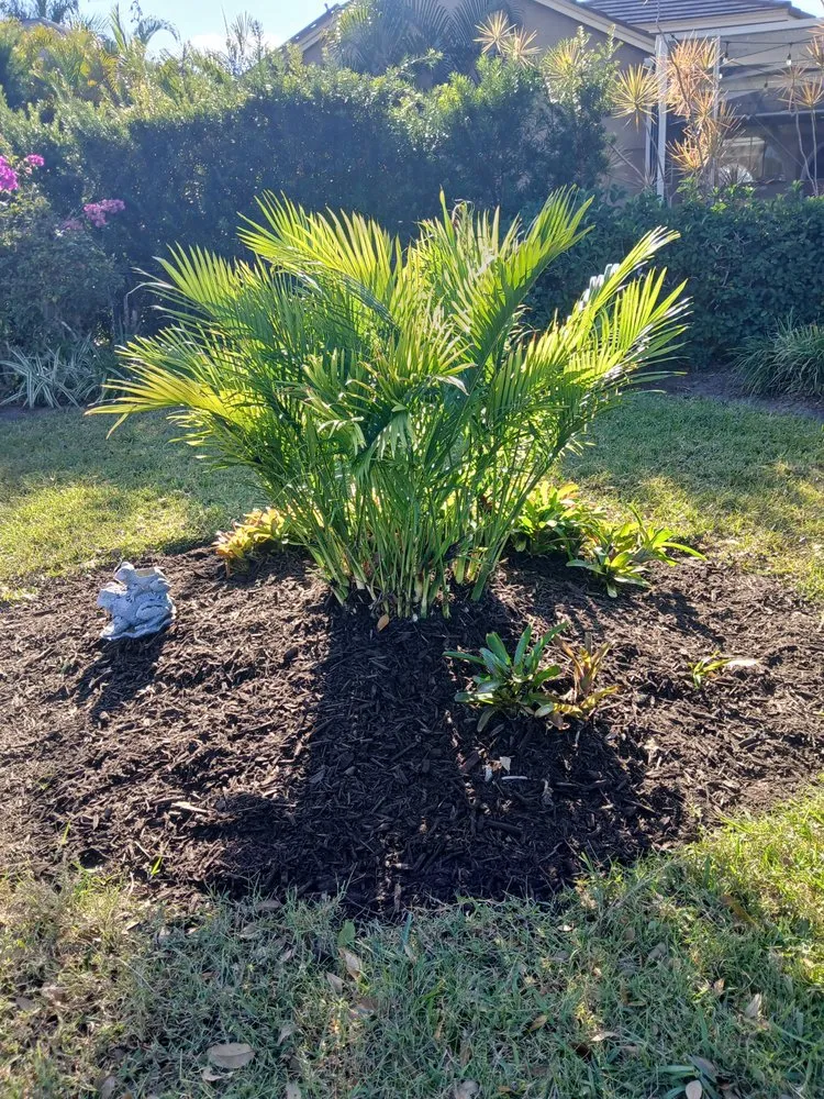 Custom lawn care service near you across Tampa, FL - Landscaping Heandscrafted Portillo