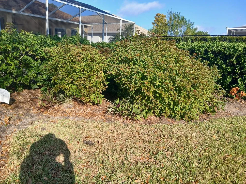 Local outdoor landscaping for beautiful yards across Tampa, FL - Landscaping Heandscrafted Portillo