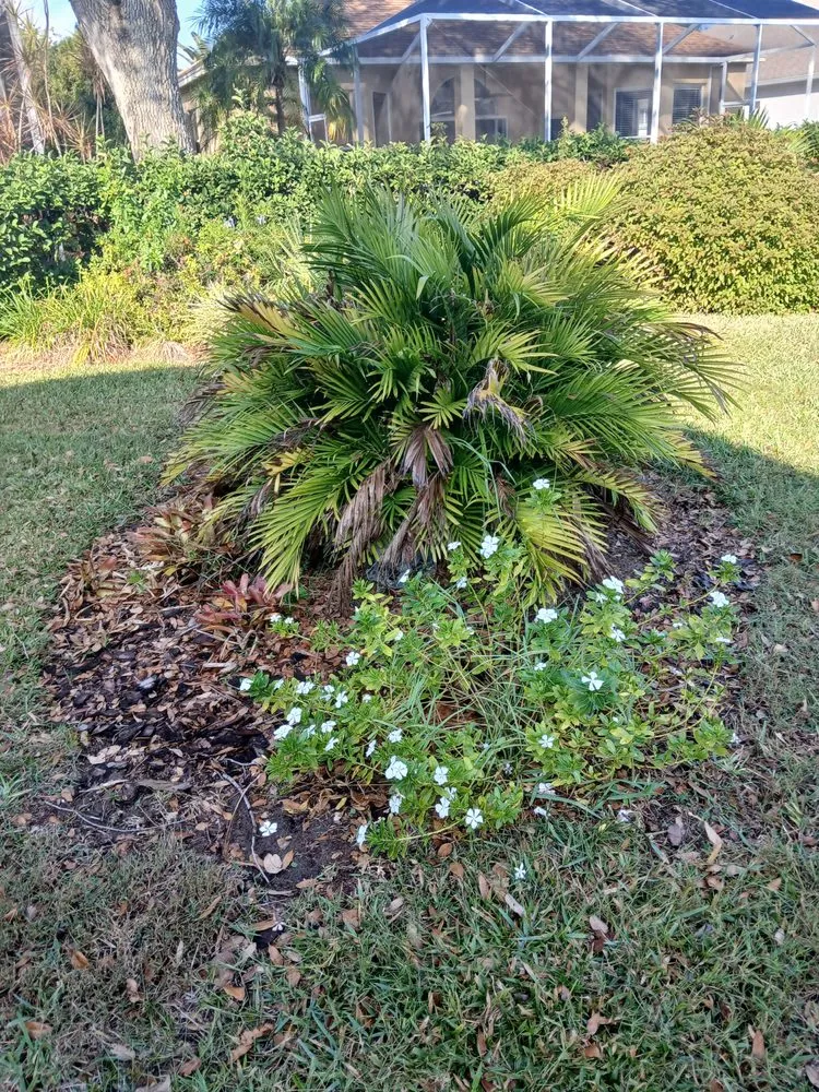 Affordable outdoor landscaping in Tampa, FL by Landscaping Heandscrafted Portillo
