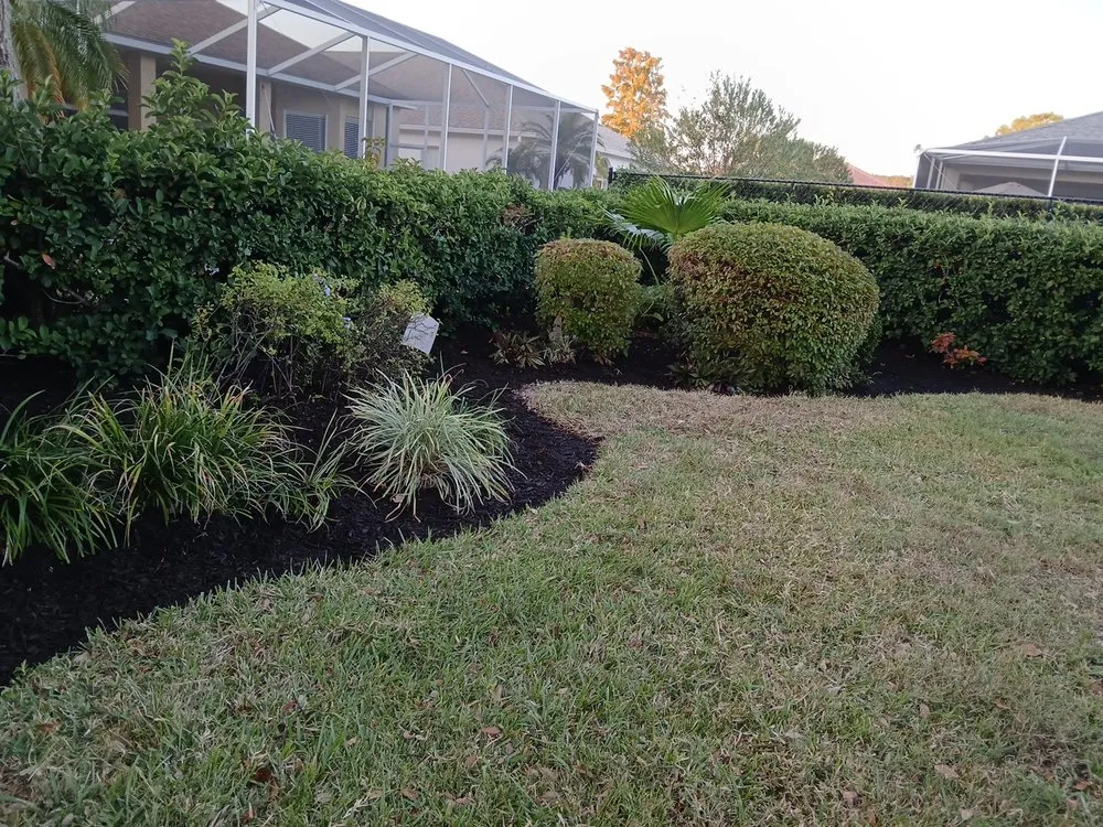 Professional lawn care service in Tampa, FL by Landscaping Heandscrafted Portillo
