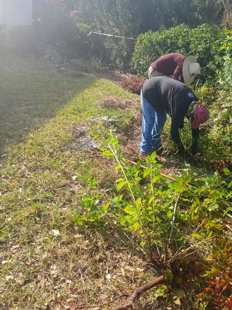 Expert yard maintenance with custom design in Tampa, FL by Landscaping Heandscrafted Portillo