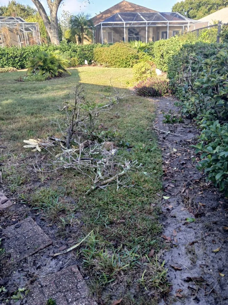 Expert lawn mowing service for homes in Tampa, FL by Landscaping Heandscrafted Portillo