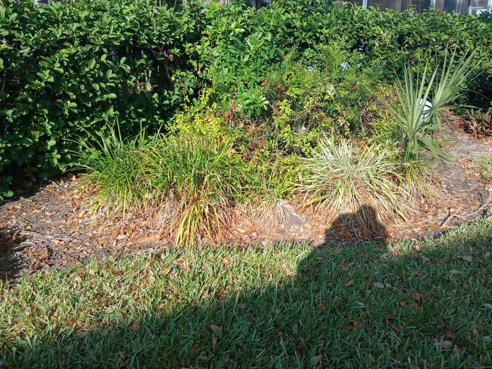 Expert outdoor landscaping for year-round maintenance across Tampa, FL - Landscaping Heandscrafted Portillo