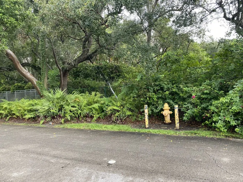 Trusted landscape design for homes across Aventura, FL - Landscaping Herdy