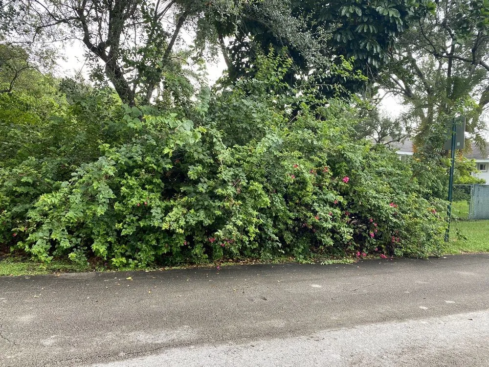 Affordable yard cleanup service for outdoor upgrades across Aventura, FL - Landscaping Herdy