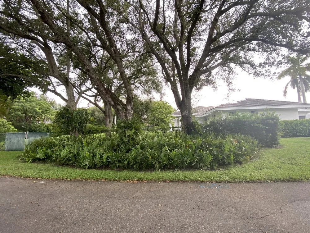 Professional landscape design experts serving Aventura, FL - Landscaping Herdy