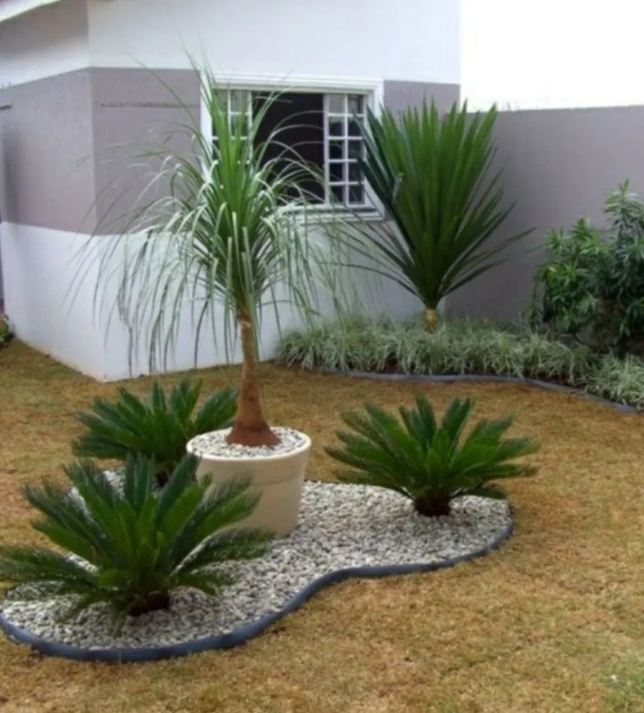 Expert landscaping services experts serving Aventura, FL - Landscaping Herdy