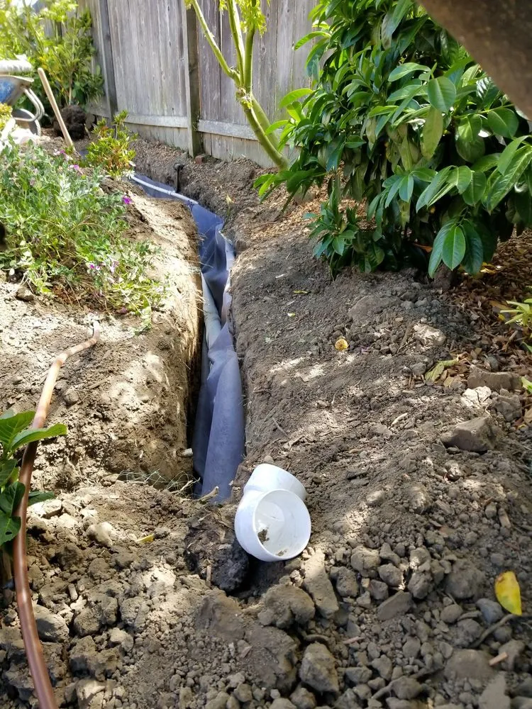 Local residential landscaping experts serving Redwood City, CA - Landscaping Hidalgo