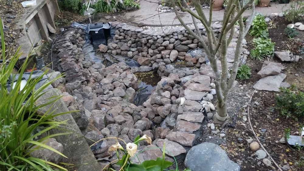 Trusted lawn mowing service in Redwood City, CA by Landscaping Hidalgo