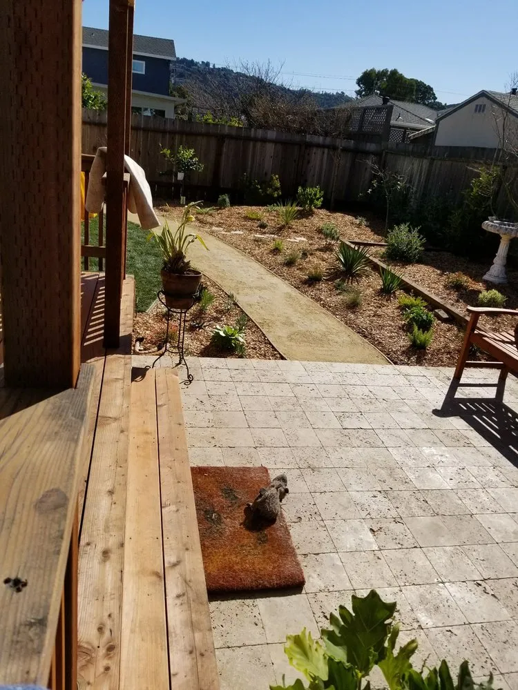 Trusted residential landscaping in Redwood City, CA - Landscaping Hidalgo