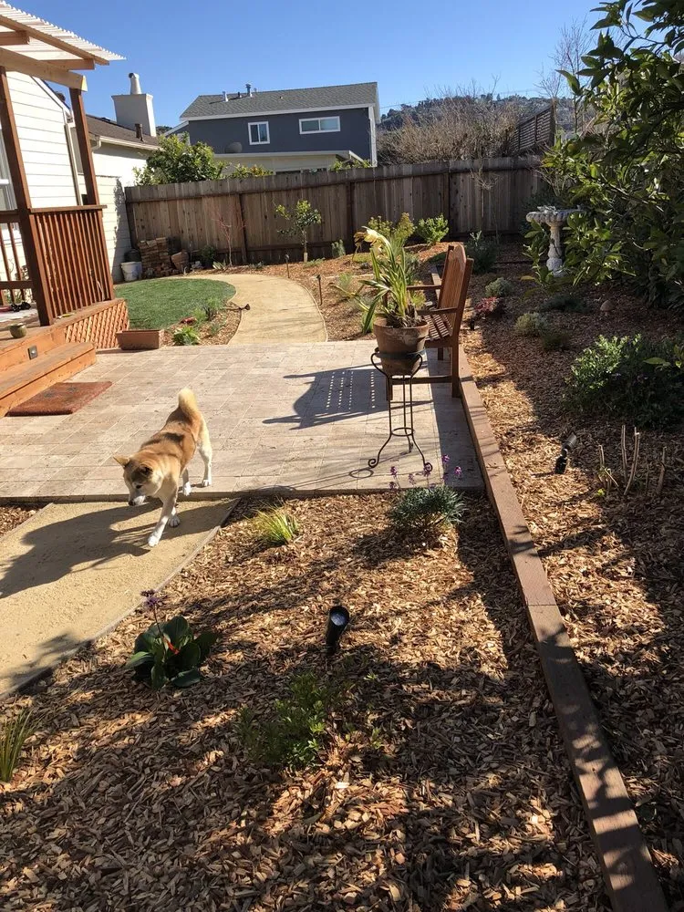 Affordable outdoor landscaping experts serving Redwood City, CA - Landscaping Hidalgo