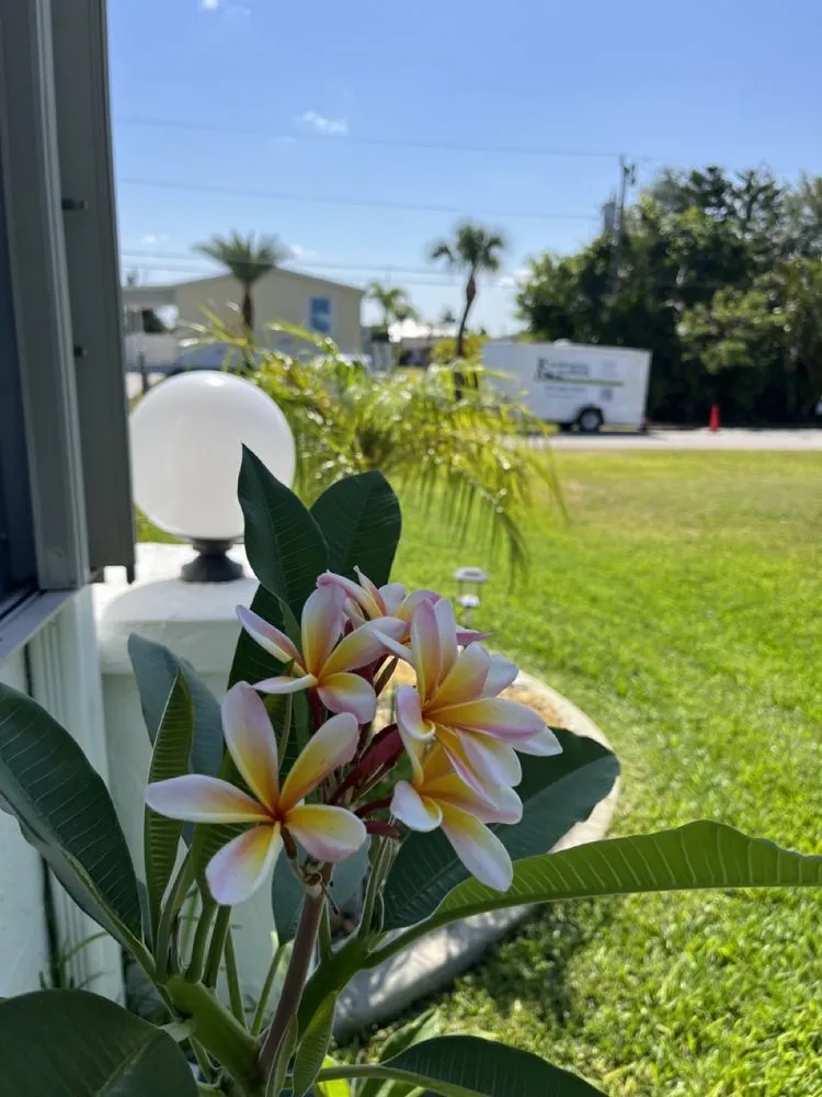 Local landscape installation in Fort Myers, FL - Landscaping in Florida