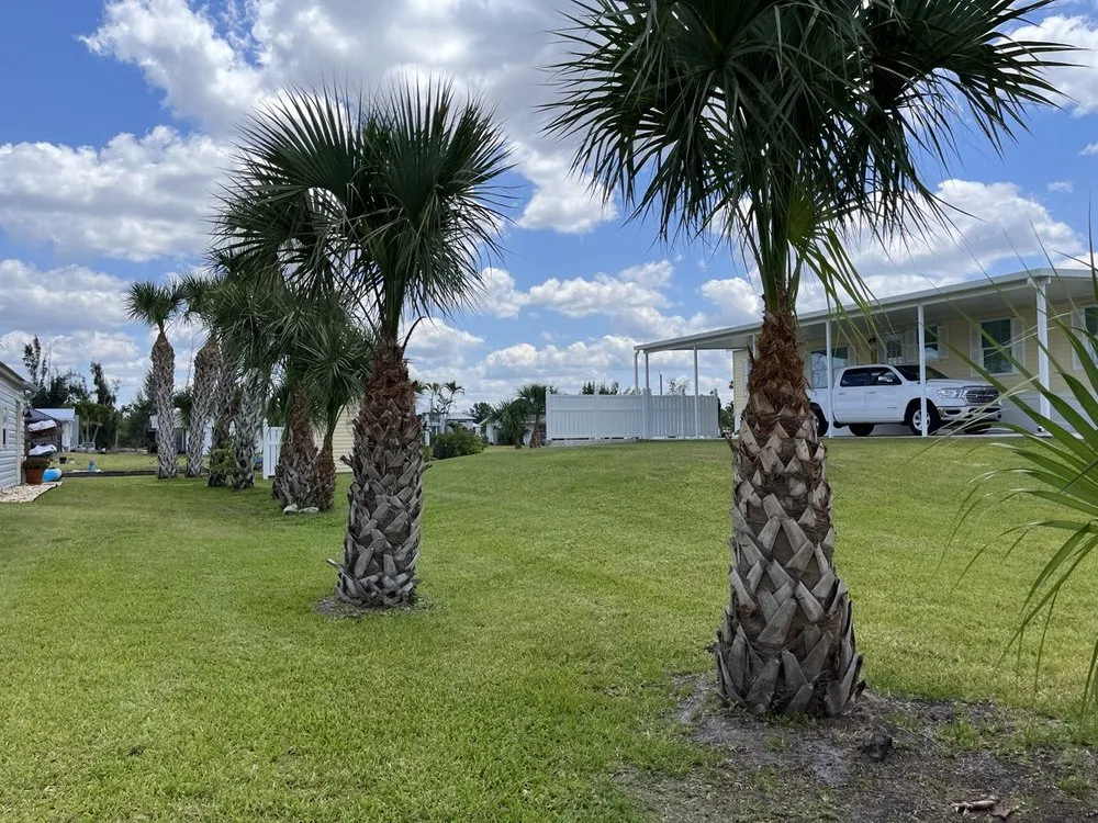 Affordable residential landscaping experts serving Fort Myers, FL - Landscaping in Florida