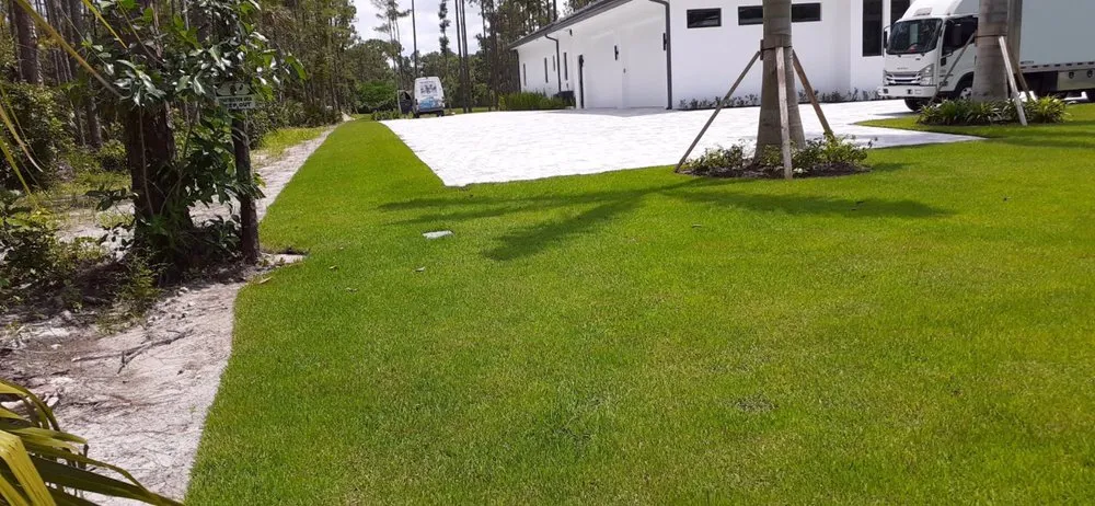 Local yard cleanup service for year-round maintenance across Bonita Springs, FL - Landscaping In General Hernandez