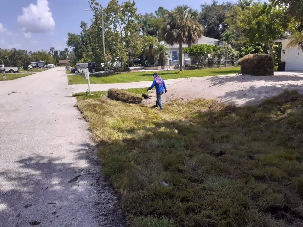 Local yard cleanup service experts serving Bonita Springs, FL - Landscaping In General Hernandez