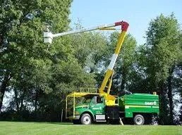 Reliable residential landscaping in Bonita Springs, FL by Landscaping In General Hernandez