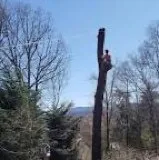 Expert landscape design experts serving Bonita Springs, FL - Landscaping In General Hernandez