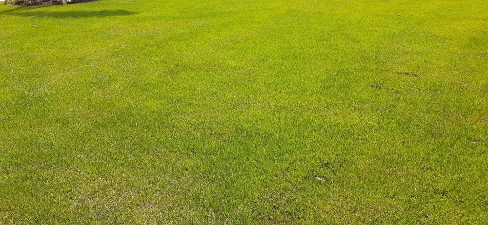 Affordable landscaping services in Bonita Springs, FL - Landscaping In General Hernandez