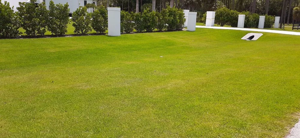 Custom landscape design for beautiful yards across Bonita Springs, FL - Landscaping In General Hernandez