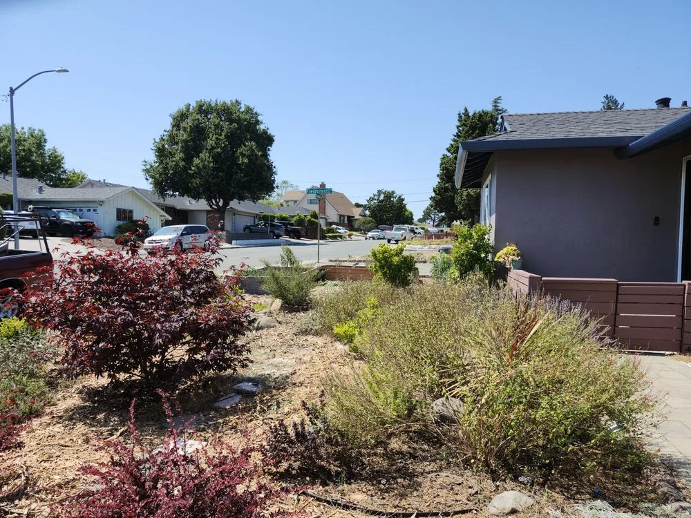 Affordable landscape design near you across San Pablo, CA - Landscaping Jose's