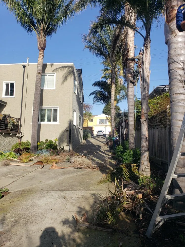 Reliable lawn care service in San Pablo, CA by Landscaping Jose's