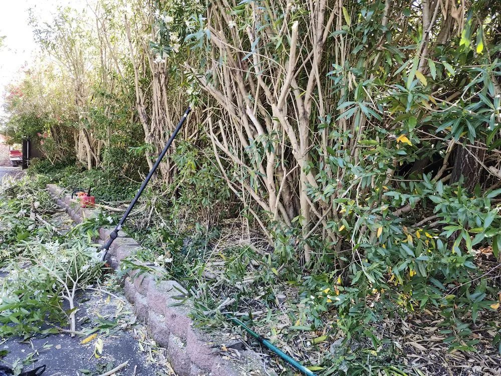 Affordable garden landscaping experts serving San Pablo, CA - Landscaping Jose's