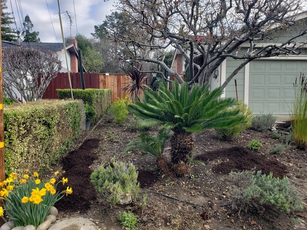 Professional lawn mowing service experts serving San Pablo, CA - Landscaping Jose's