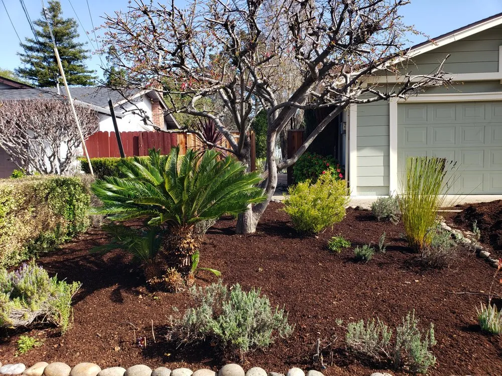 Local landscape installation for year-round maintenance across San Pablo, CA - Landscaping Jose's