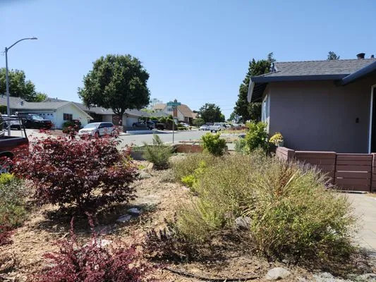 Landscaping Jose's Logo