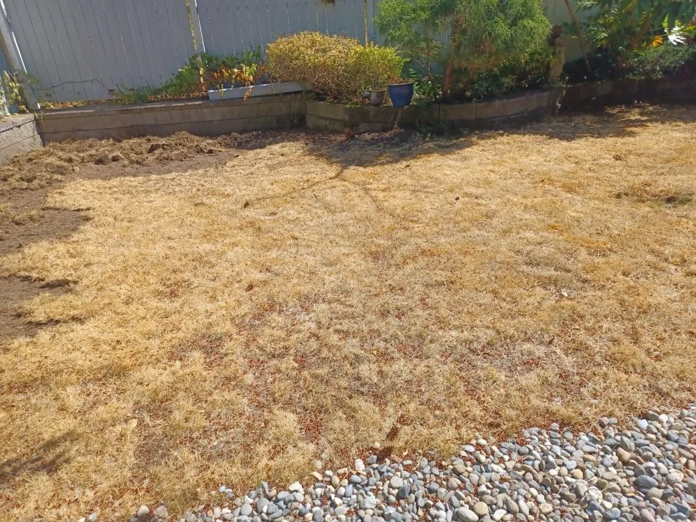 Affordable garden landscaping experts serving Shelton, WA - Landscaping Kent
