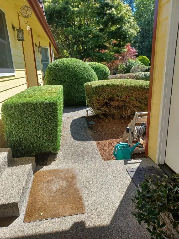 Reliable landscape installation for residential properties in Shelton, WA by Landscaping Kent