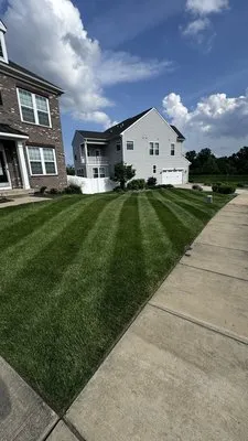 Landscaping king Logo