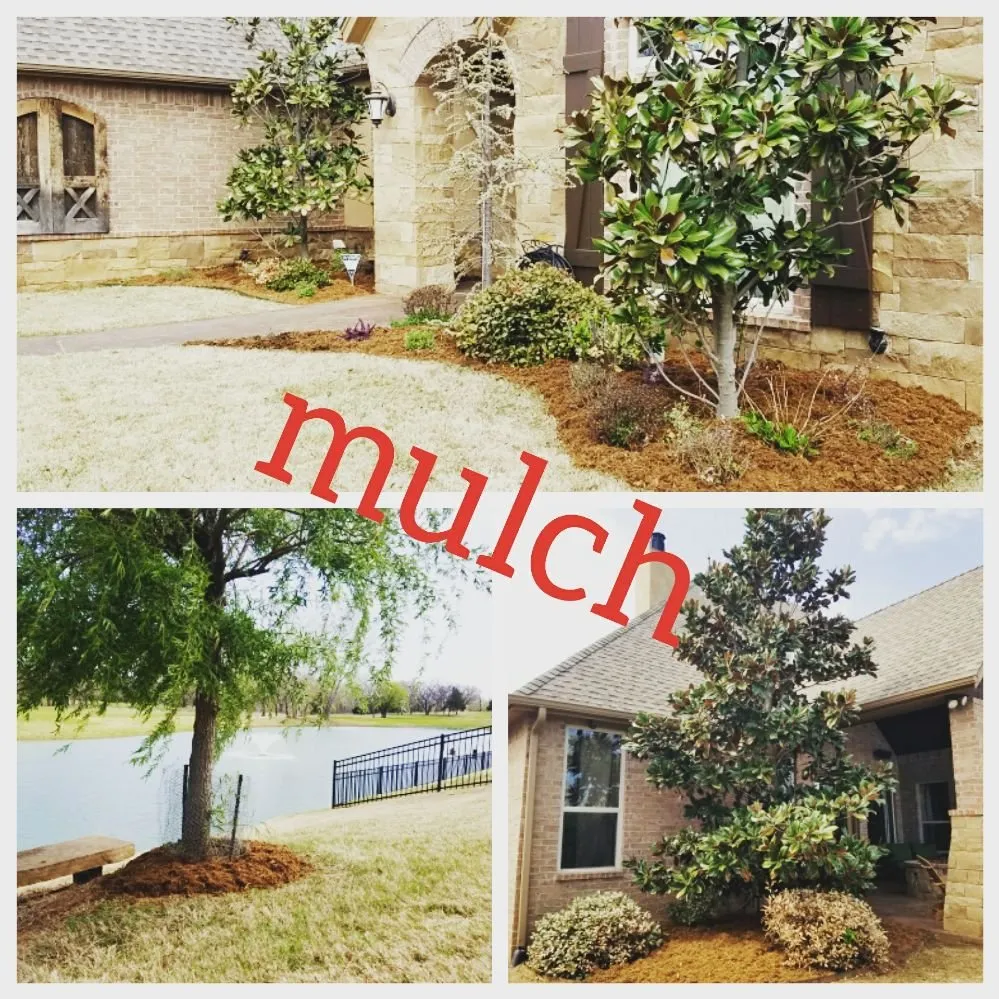 Top-rated yard cleanup service with custom design in Edmond, OK by Landscaping Kings & Masonry