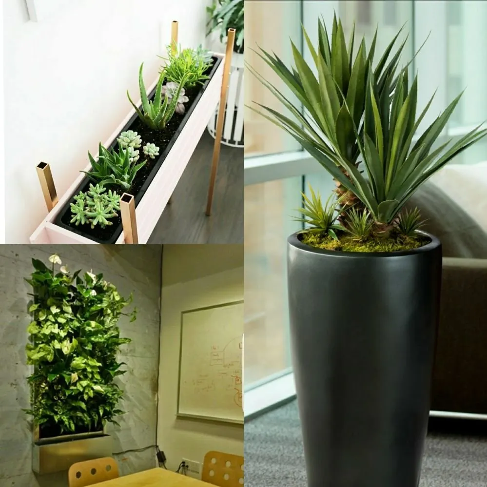 Custom lawn care service experts serving Edmond, OK - Landscaping Kings & Masonry