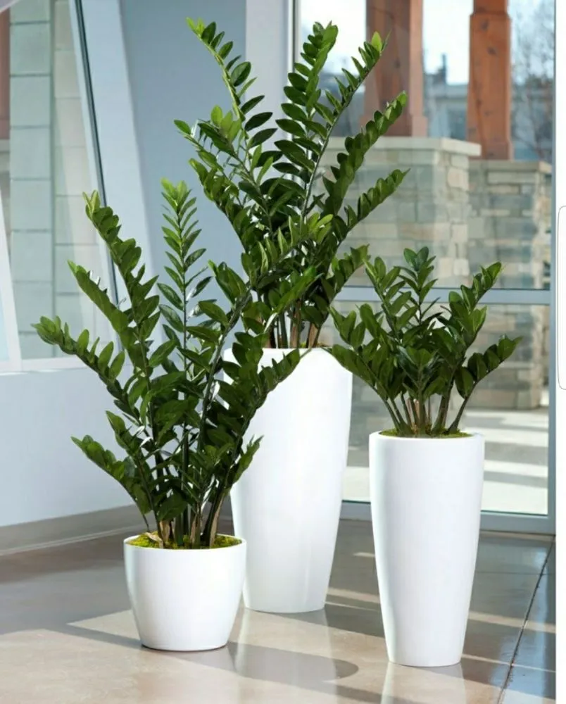 Affordable yard maintenance for residential properties in Edmond, OK by Landscaping Kings & Masonry